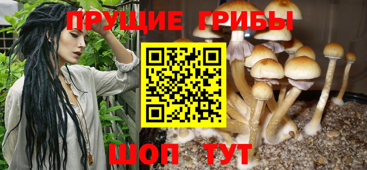 закладка  Вход с VPN  Галлюциногенные грибы GOLDEN TEACHER  Первоуральск  Галлюциногенные грибы мухоморы 